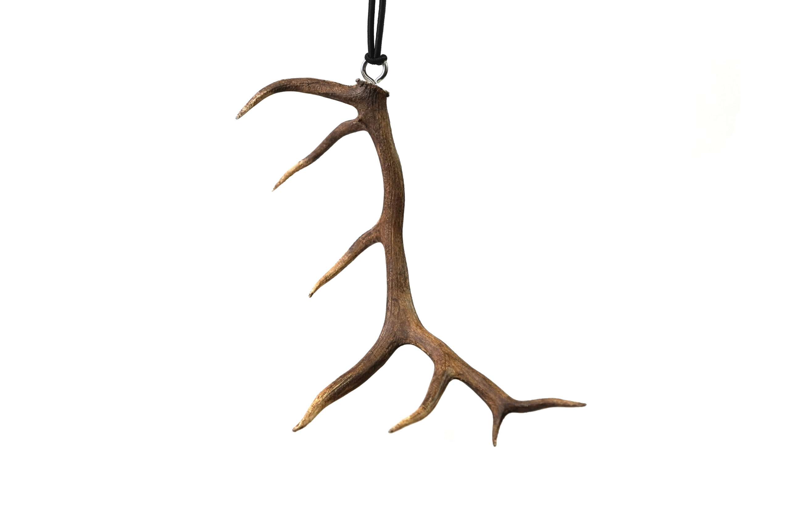 SG Motion Craft Danglers The SG Motion Craft Danglers are a unique way to bring your passion for the outdoors into your everyday drive. Designed and 3D-printed with precision, these miniature scale-model antlers are built to hang from your rearview mirror, adding a rugged yet stylish touch that reflects your love for hunting and the backcountry lifestyle. More than just an accessory, each Dangler is a conversation starter that showcases your connection to the field even when you’re on the road. What sets the SG Motion Craft Danglers apart is the ability to replicate any set of antlers. Whether it’s a once-in-a-lifetime bull elk, a heavy mule deer, or a buck that holds special meaning, we can craft a scale model directly from the antlers you bring into our shop. This customization ensures every Dangler is personal, carrying the story of your hunt in a compact, display-ready form. The 3D-printed construction guarantees clean details, durability, and consistency across every piece. Lightweight yet strong, these Danglers won’t damage your mirror or swing excessively while driving, making them practical for daily use. Their scale size provides the perfect balance between visibility and subtlety, ensuring they stand out without obstructing your view. Key Features: 3D Printed Precision – Captures fine antler detail in durable, lightweight form. Custom Options – We can model from any antlers you bring to our store. Unique Vehicle Accessory – A perfect way to showcase your hunting heritage on the go. Compact & Practical – Designed to hang safely without blocking visibility. Personalized Keepsake – Carry the memory of your hunt wherever you drive. Whether purchased as a custom keepsake or a one-of-a-kind gift for the hunter in your life, the SG Motion Craft Danglers blend tradition, innovation, and personalization in a product that celebrates the outdoors in everyday life.