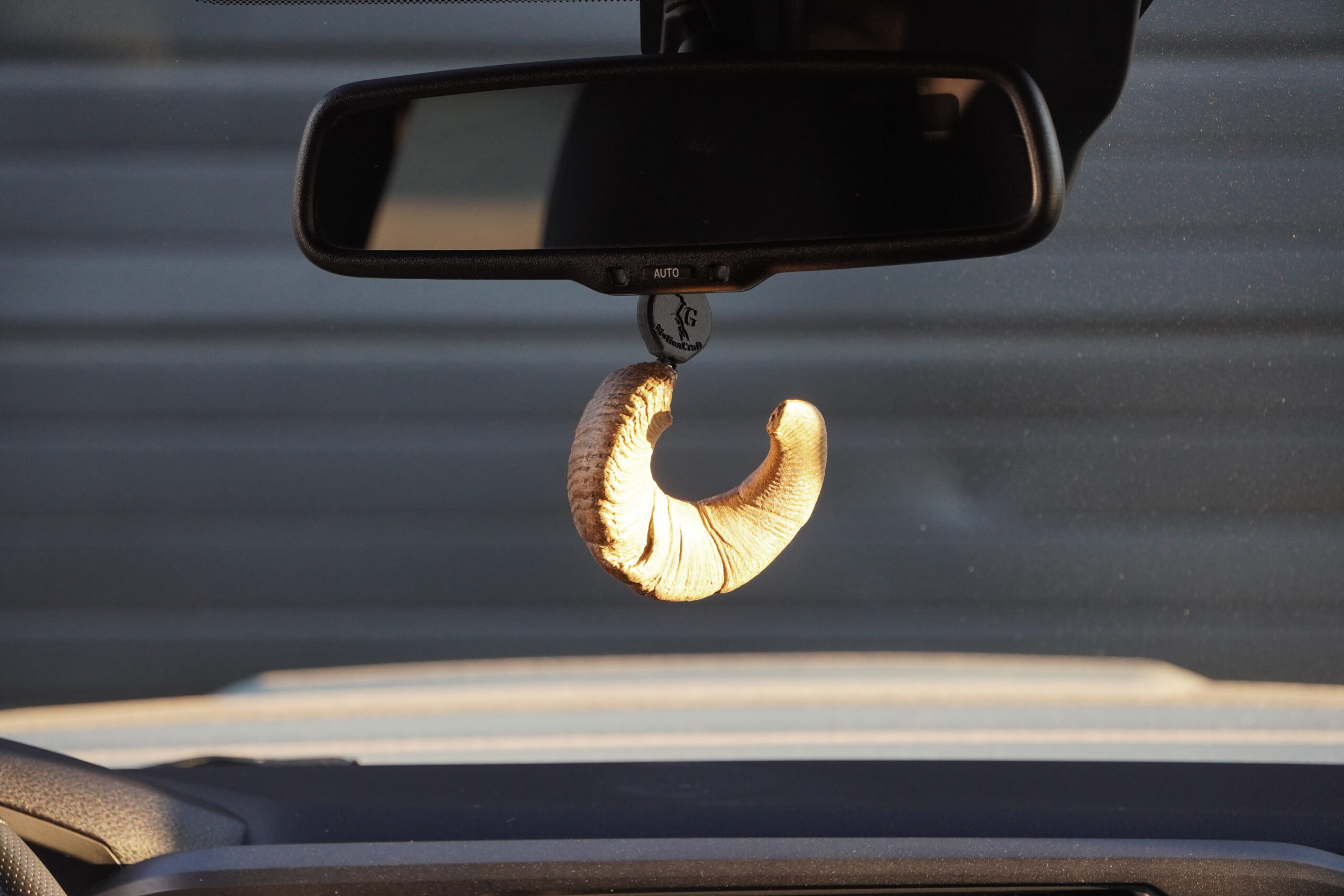 Sheep Dangler - Image 4