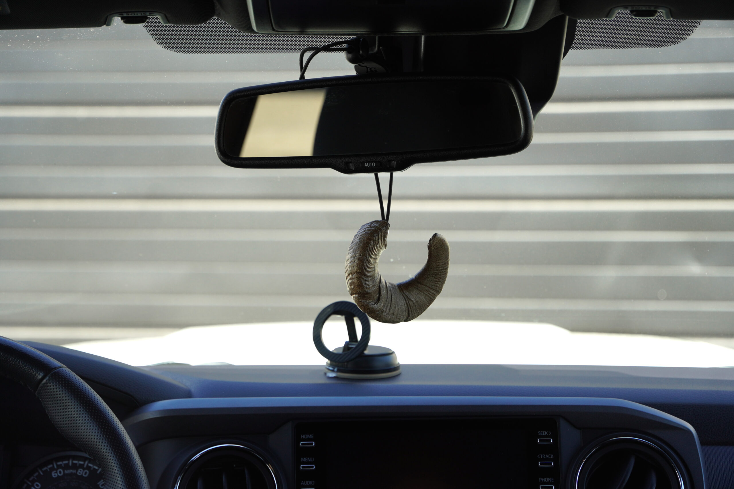Sheep Dangler - Image 3